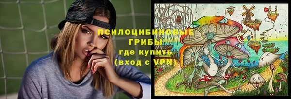 PSILOCYBIN Арсеньев